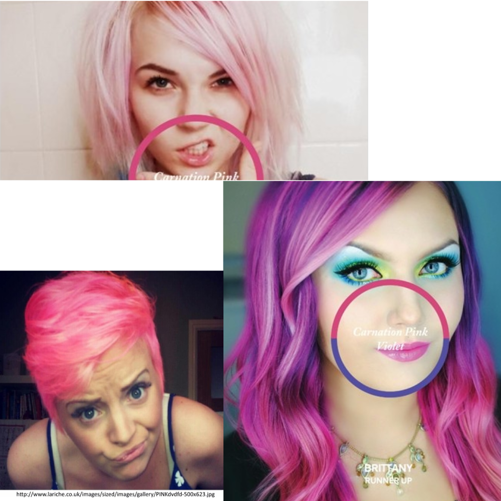 Directions Carnation Pink – Tinta Semipermanente 88 ml